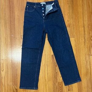 Everlane The Way-High Jean 29R